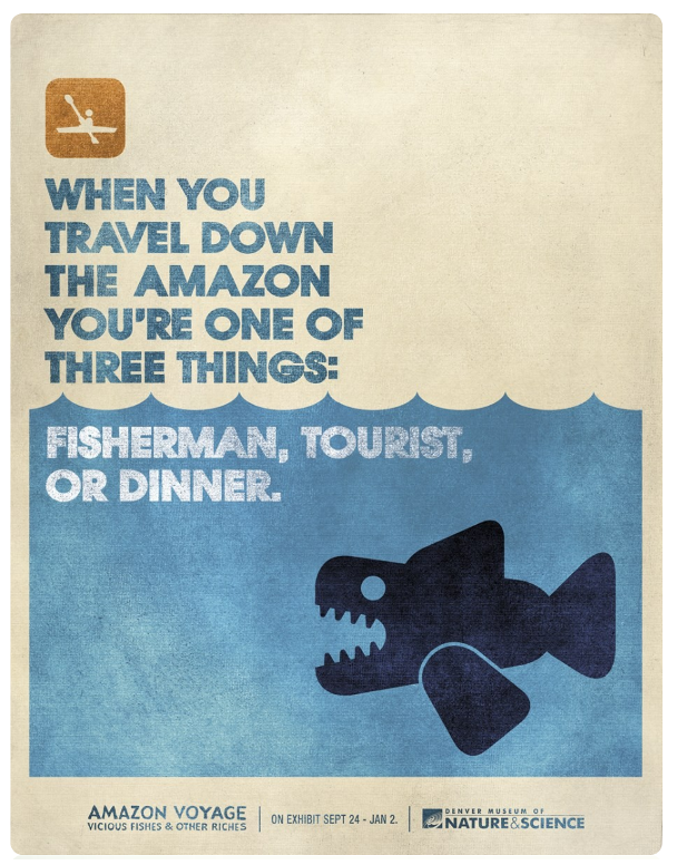When you travel down the Amazon, you're one of three things: fisherman, tourist, or dinner.